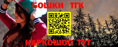 гашик Будённовск