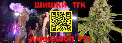 гашик Будённовск