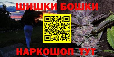 гашик Будённовск