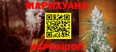 гашик Будённовск